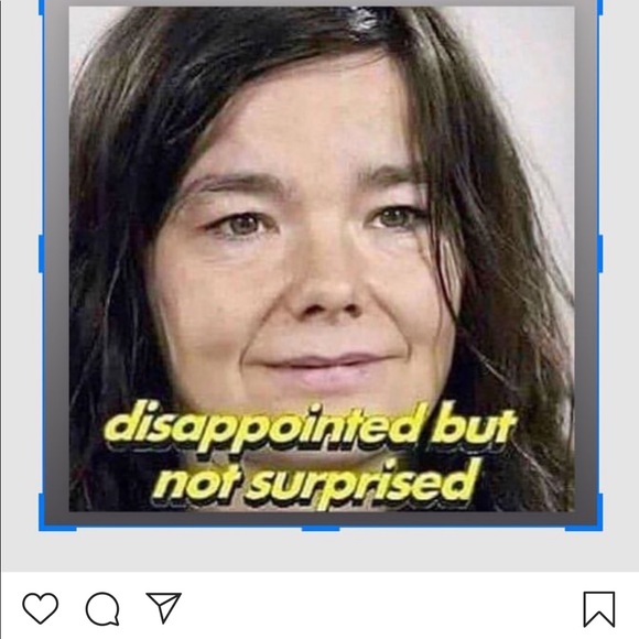 Meet your Posher, Fox - Picture 1 of 1